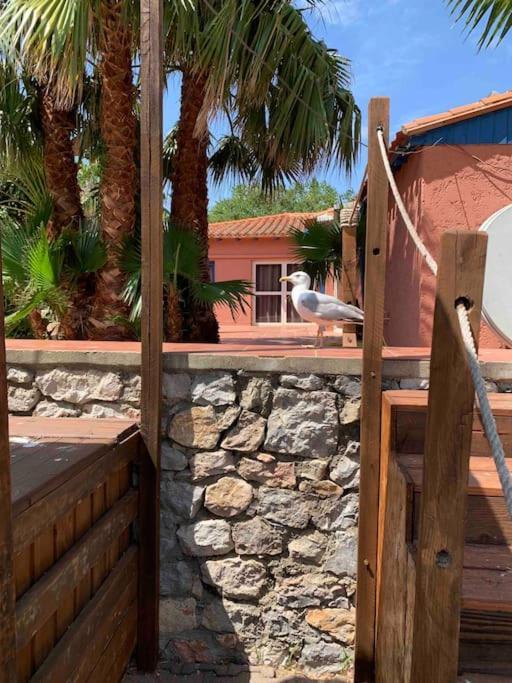 Appartement Cosy Confort Parking Clim Wifi Linge Acces Piscine Non Inclus Canet-en-Roussillon Ngoại thất bức ảnh