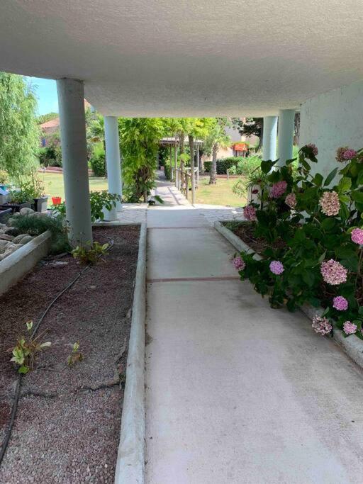 Appartement Cosy Confort Parking Clim Wifi Linge Acces Piscine Non Inclus Canet-en-Roussillon Ngoại thất bức ảnh
